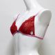 TRIANGLE BRA トライアングル ブラ　PASSION レッド3