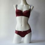 ワイヤーブラ<br>ルージュフォンス<br>C,Dカップ2